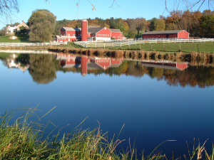 beautifulfarm