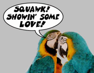 parrot_squawk