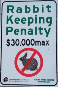 rabbit-penalty