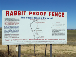 rabbit_fence