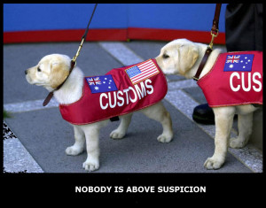 SUSPICION