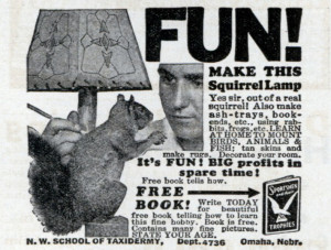 Squirrel Lamp